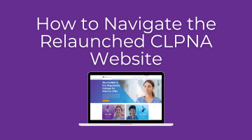 How to Navigate the Updated Website